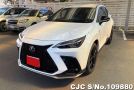 2023 Lexus NX 450h