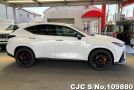 2023 Lexus NX 450h