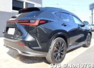 2023 Lexus NX 350H