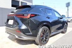 2023 Lexus NX 350H