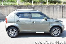 2023 Suzuki gnis